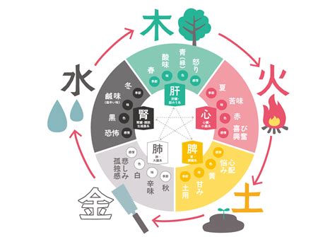 季節 五行|季節の過ごし方｜東洋医学と五季